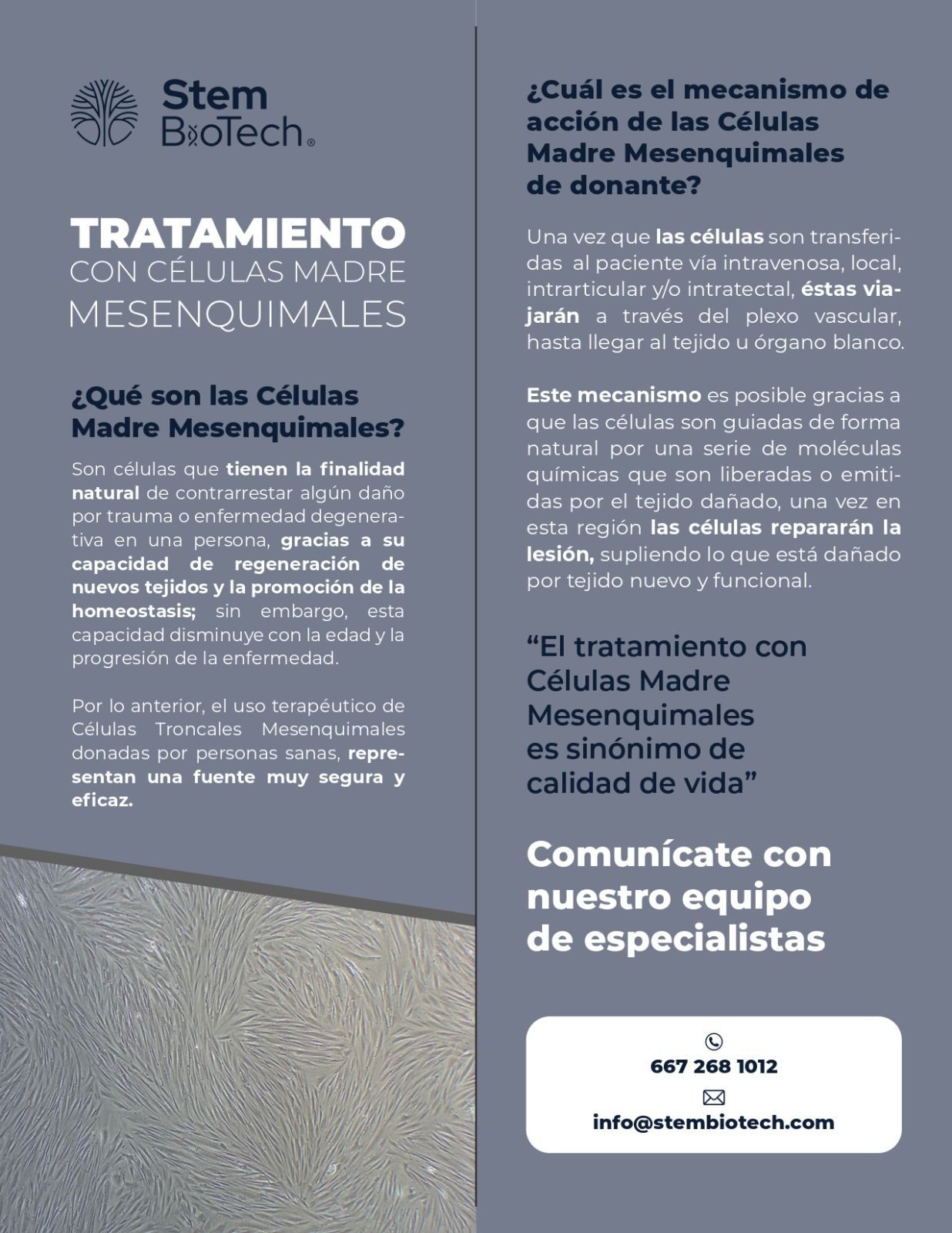 Joan Tuareg Chavez Medina-3