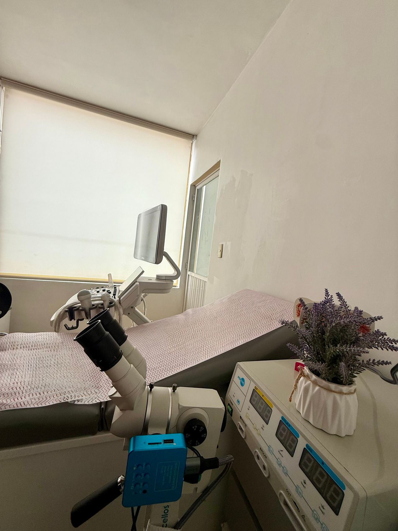 Karla Rodríguez Rodríguez-2