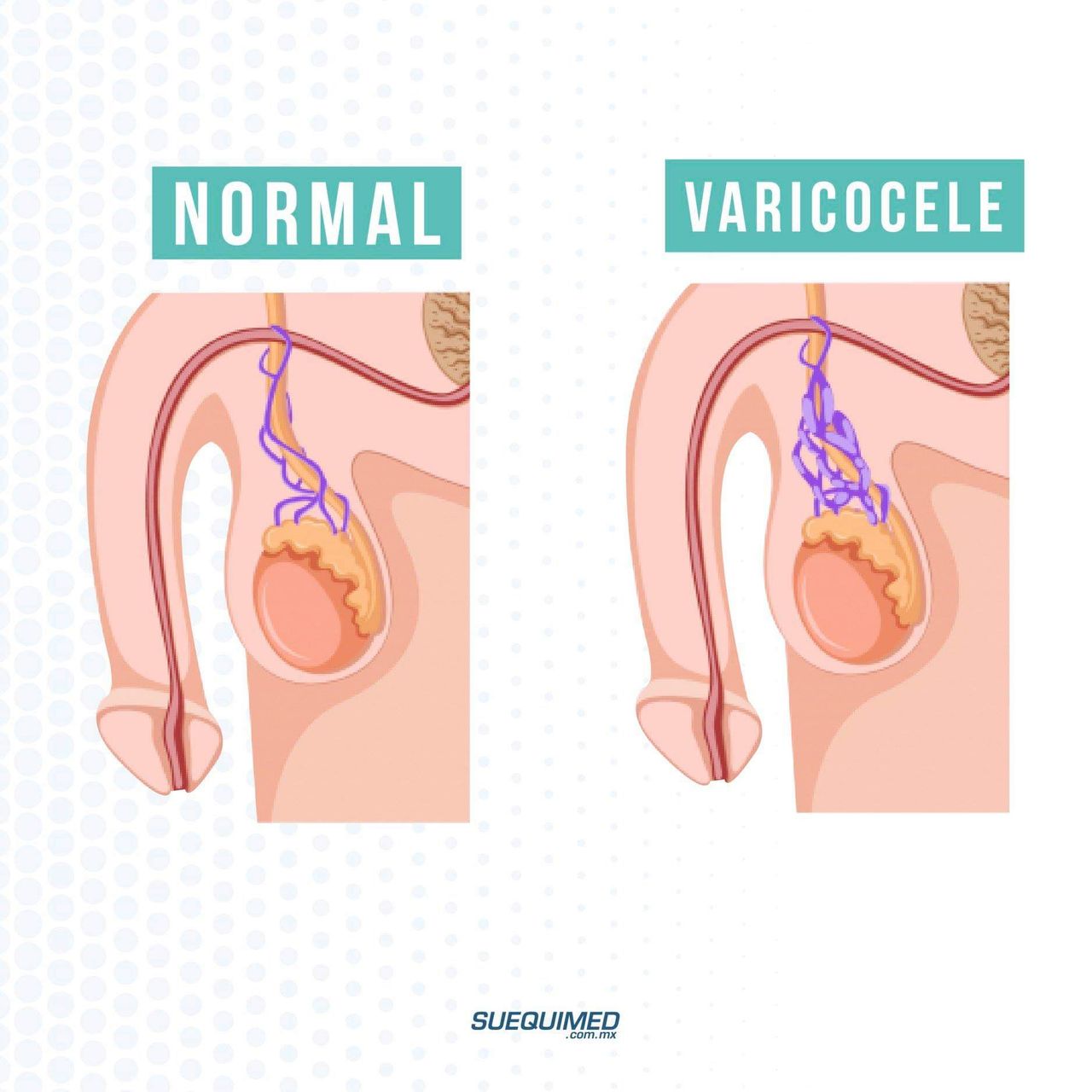 Fernando Bustos Angulo-5