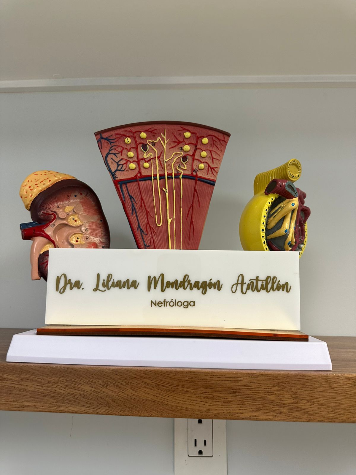 Liliana Mondragón Antillón-4