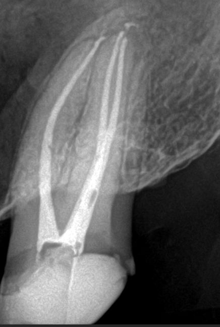 Carlos Gallegos Toledo-3