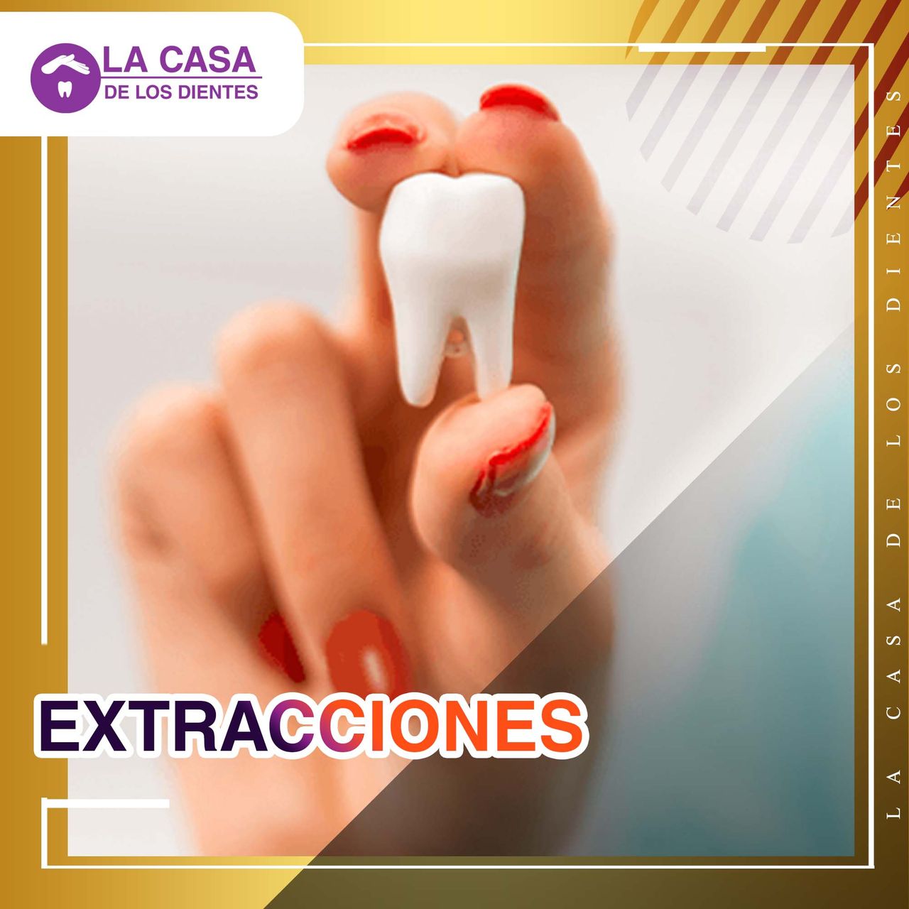 Jonathan Bermudez Gonzalez-4