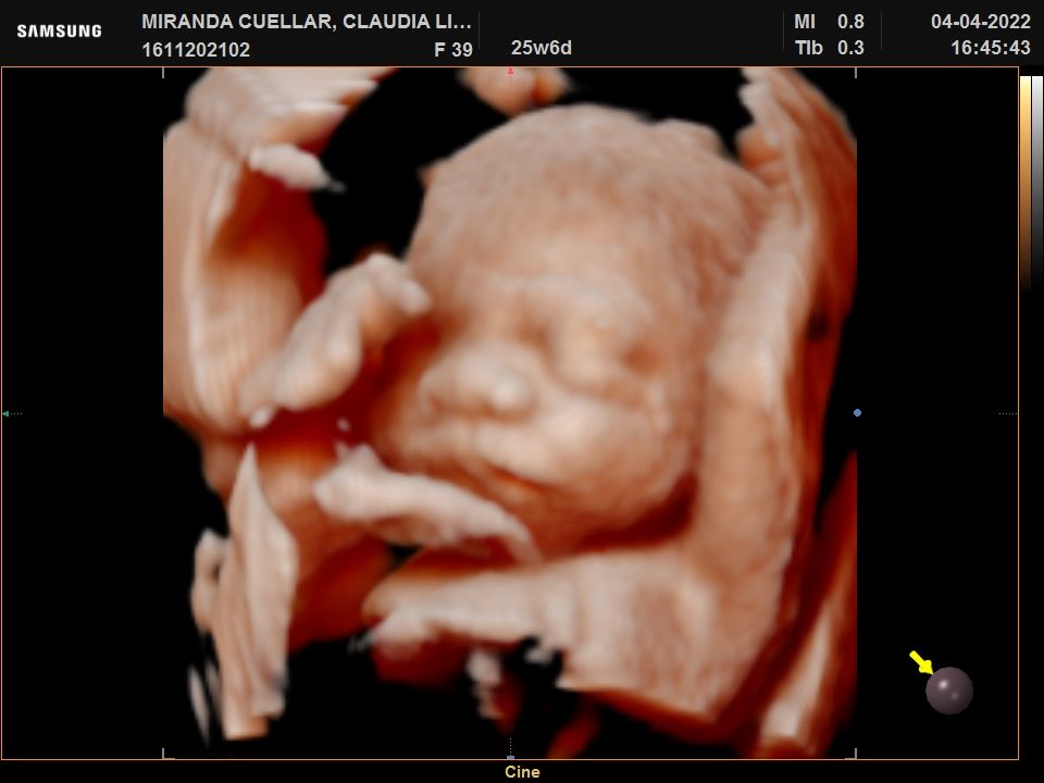 Alejandro Morales Delgado-4