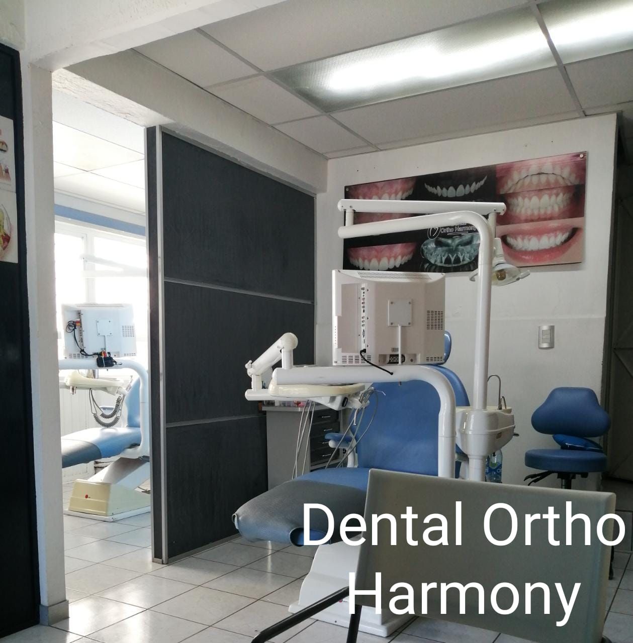 Leticia Montemayor Estrada-7