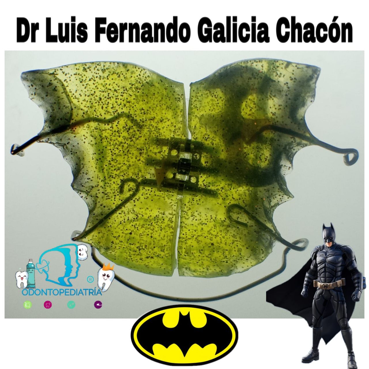 Luis Fernando Galicia Chacón-26