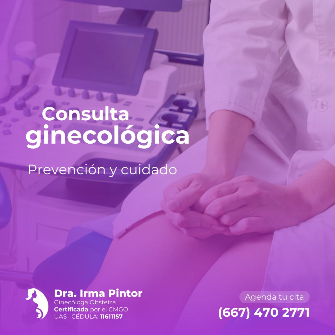 Irma Pintor Sandoval-0