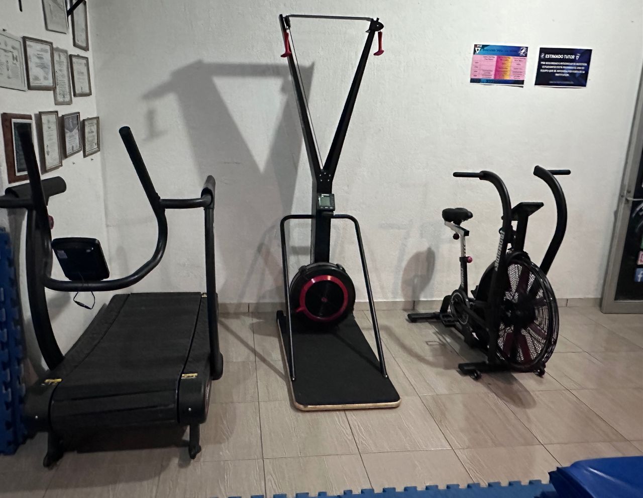 Nissim Antonio Limon Enríquez-4