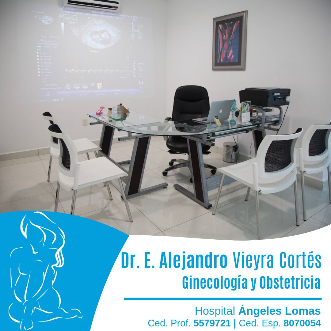 Edmundo Alejandro Vieyra Cortes-9