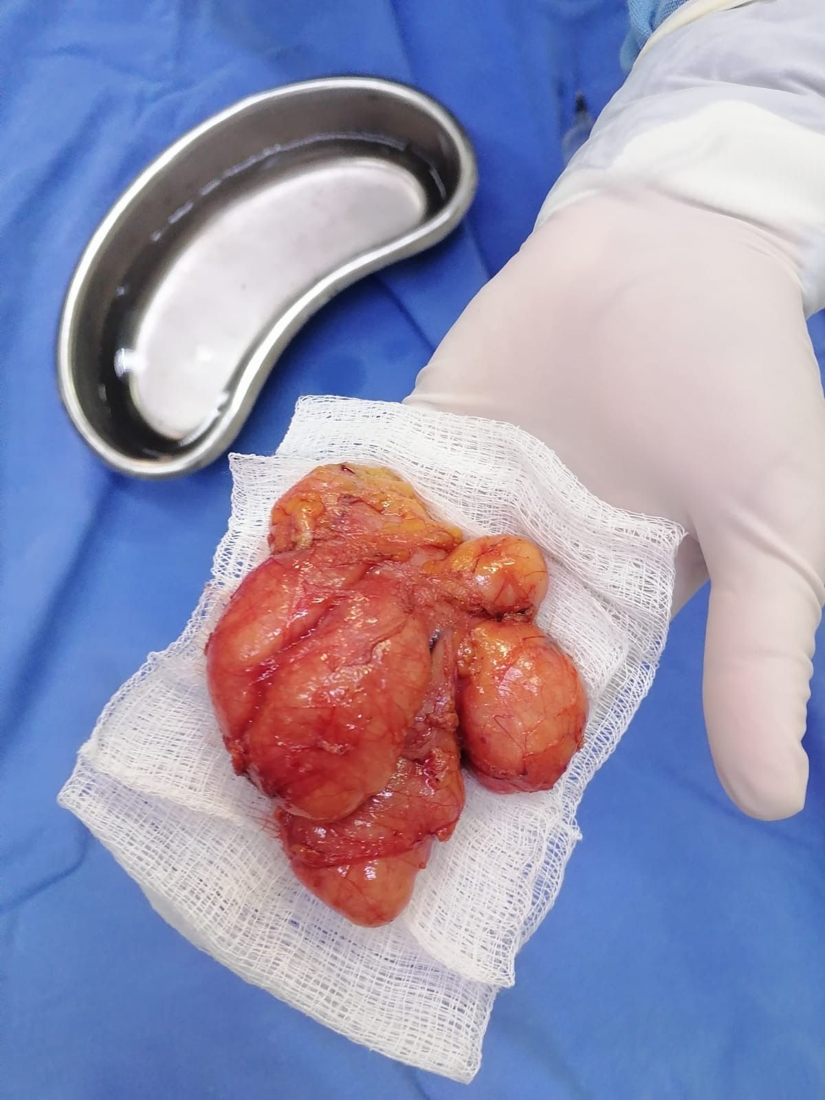 Sahrazade Rubí Guillermo-1