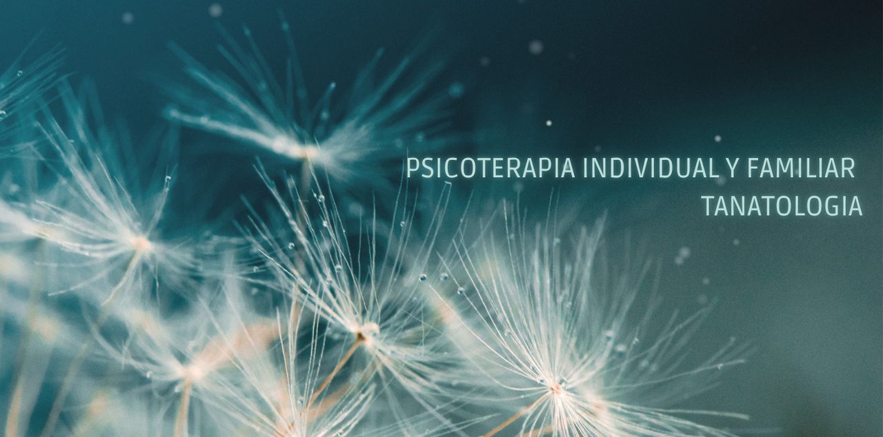 Sara Eli Alonso Rodríguez-0