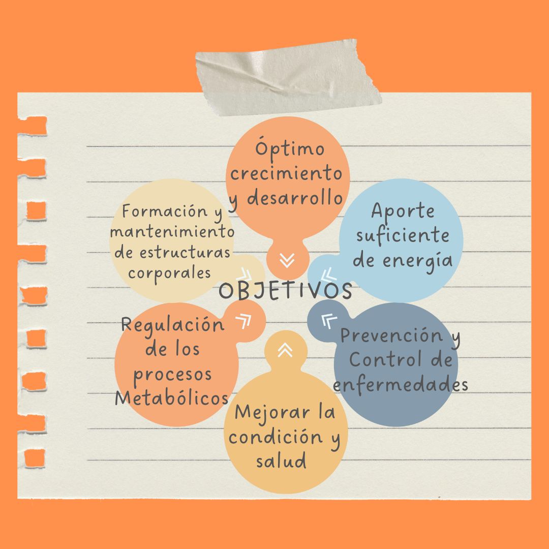 Manuel Josimar Hernández Castillo-3