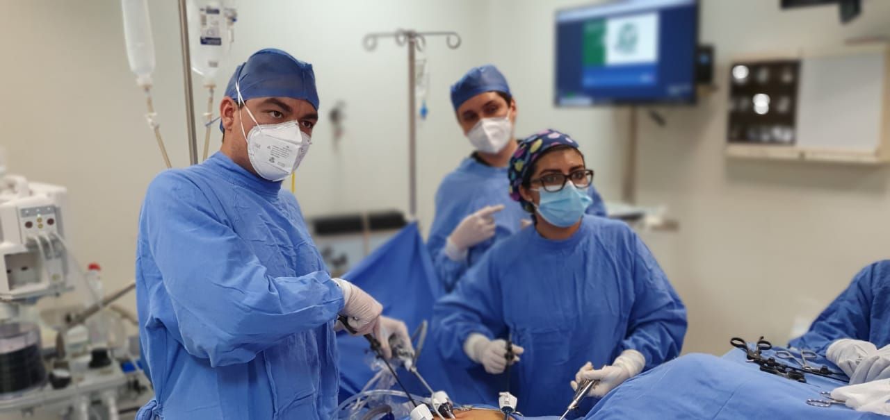 Evelin Michelle Gómez Plascencia-2