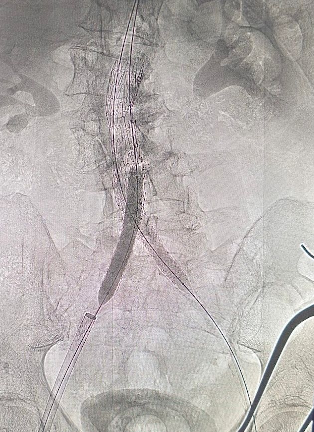 Luis Alberto Garnica León-2