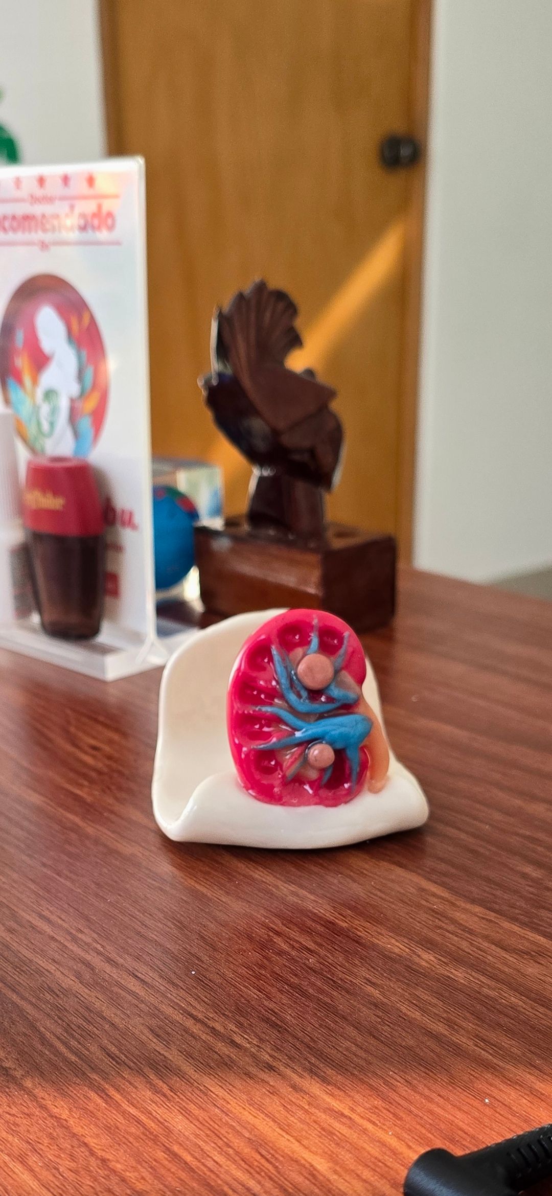 David Erik Salas López-4