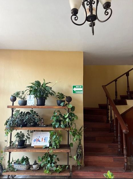 Karla Rodríguez Rodríguez-5