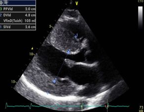 Mayra Patricia Hernández López-7