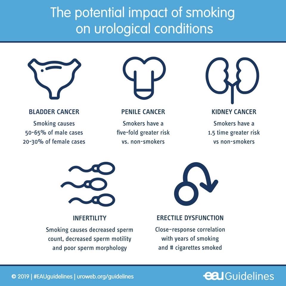 Alejandro Ibarra Ordóñez-17