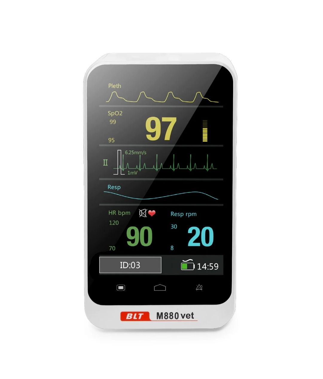 Renato Alberto Domínguez Briones-19