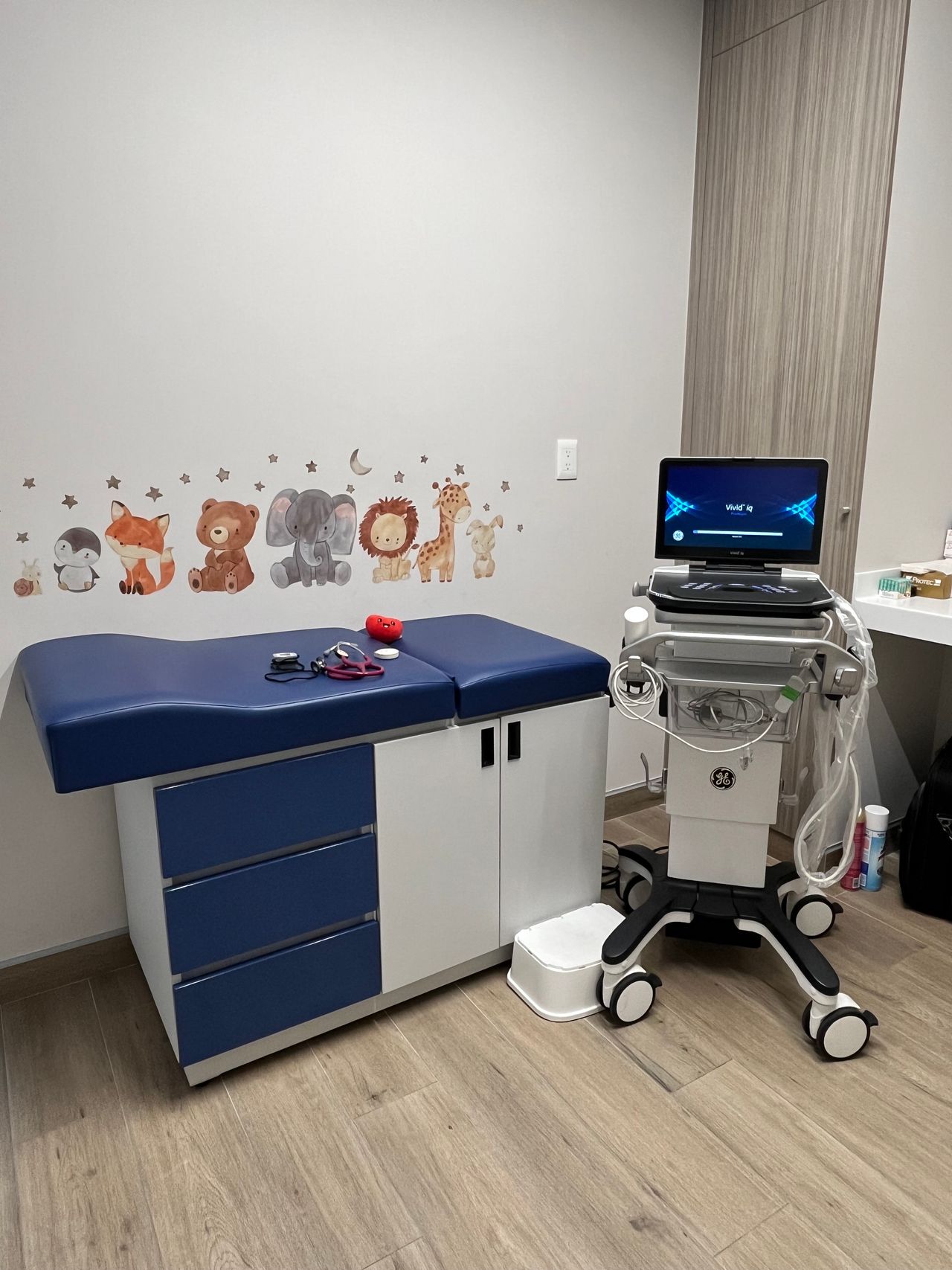 Ana Carolina Cruz Miranda-11