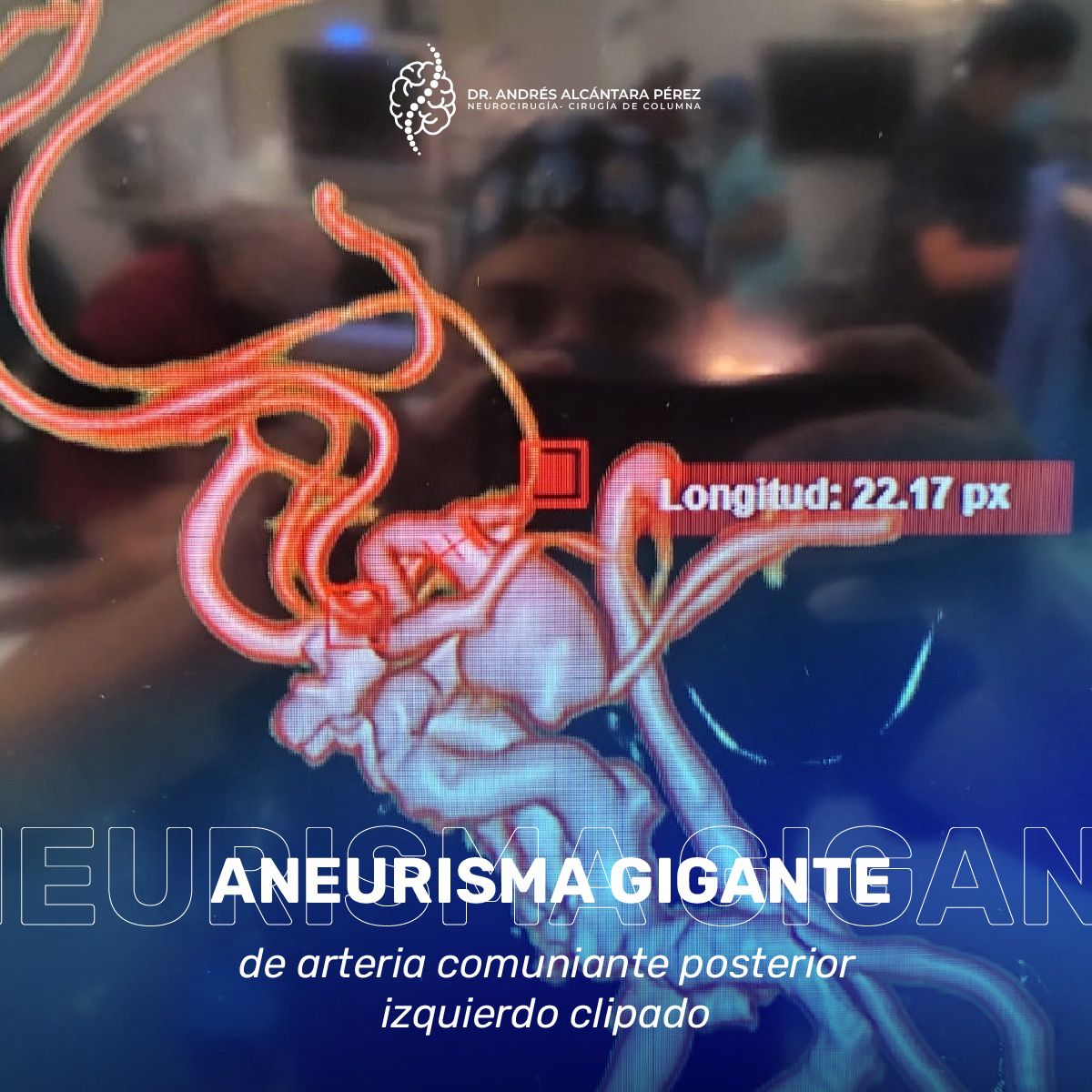 Andres Alcántara Pérez-2