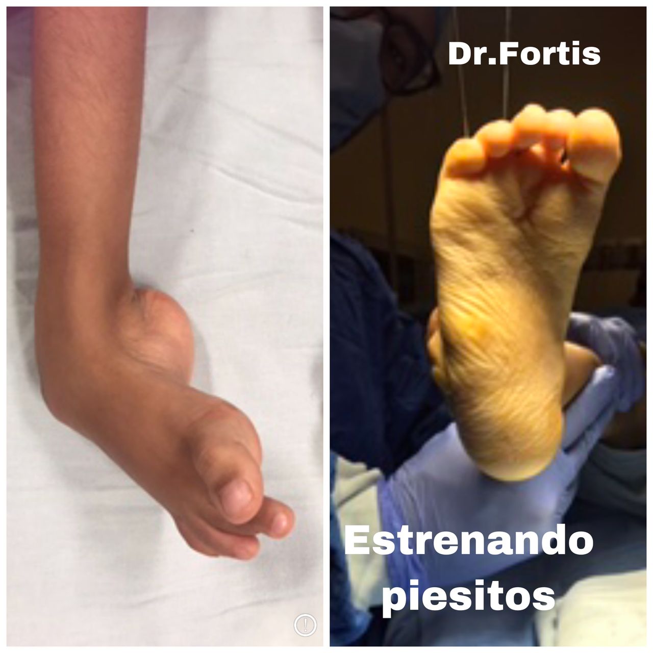 Ignacio Osvaldo Fortis Olmedo-15