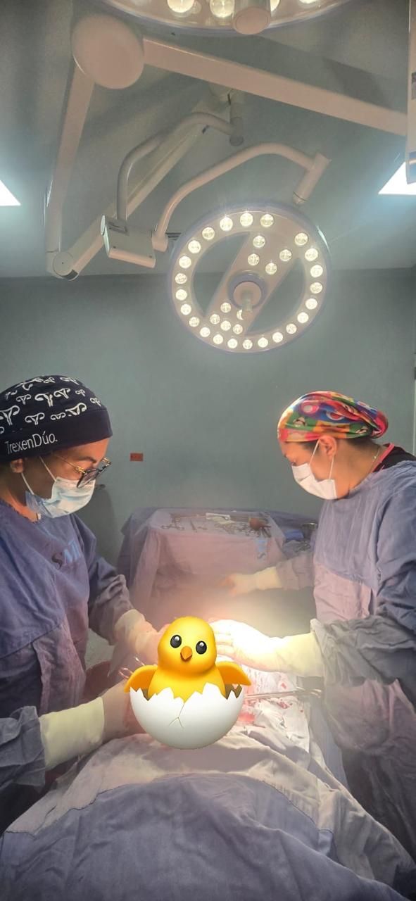 Sandra Faviola Dávila Molina-50