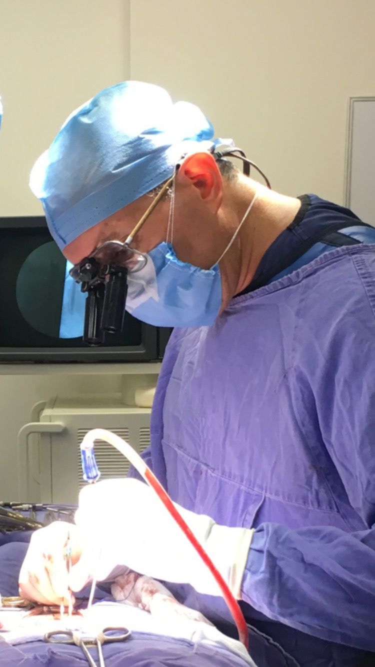 Jesus Rocha Maguey-17