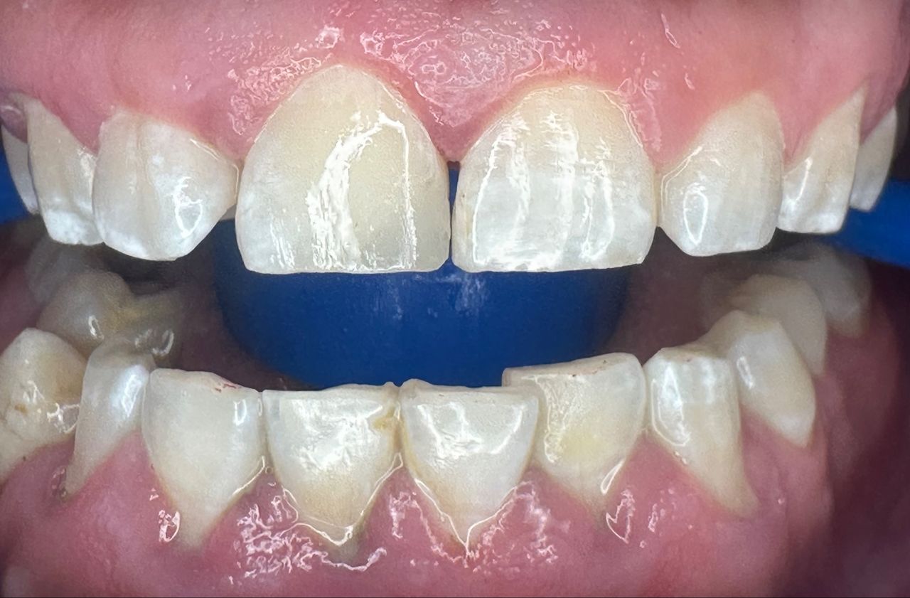 Alberto Carlos Vite Catedral-3