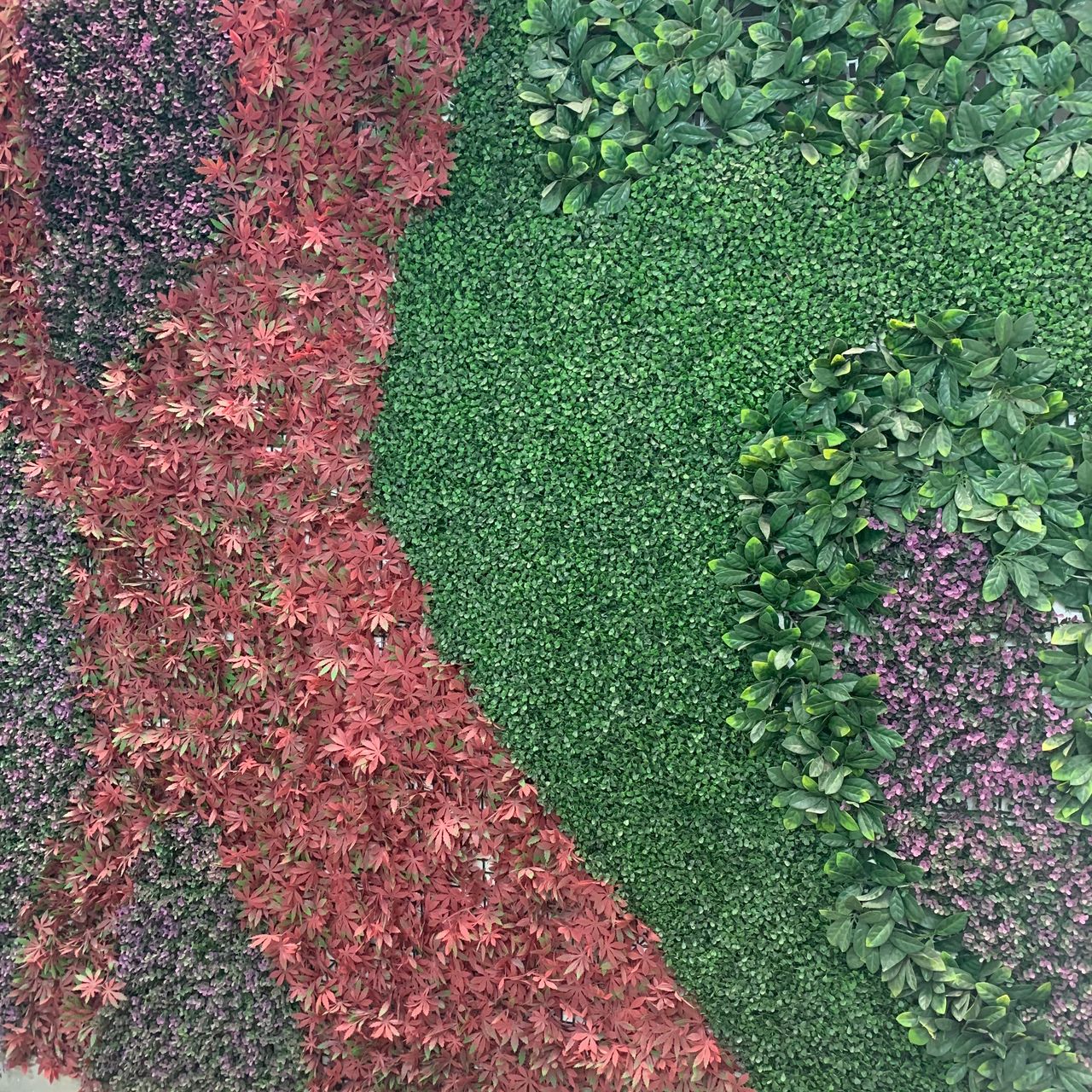 Gonzalo Esparza Ramos-4