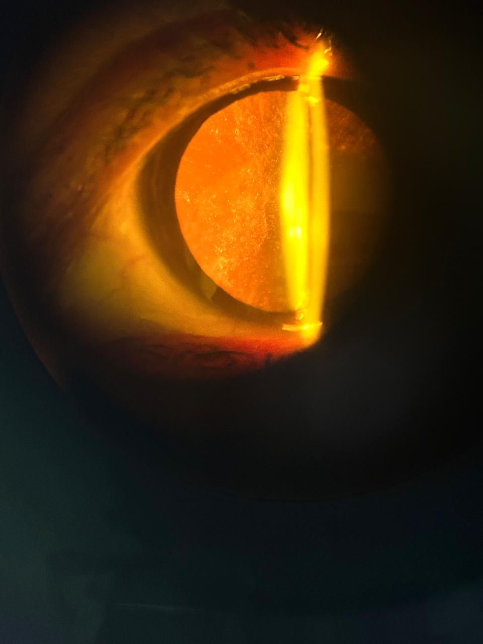 Daniel Martin Laguna Muñoz-53