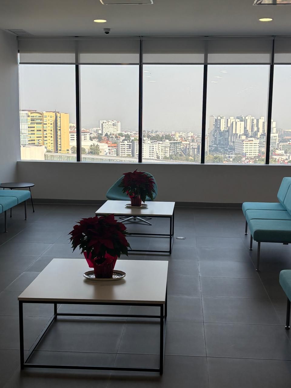 Vivian Finkelstein Mizrahi-5