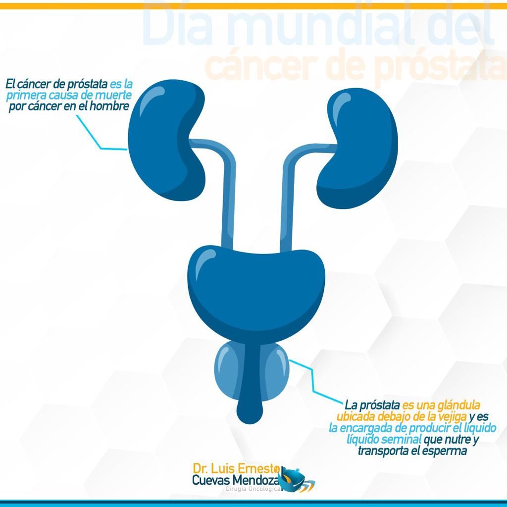 Luis Ernesto Cuevas Mendoza-127