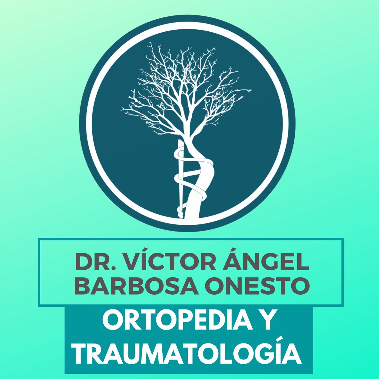 Víctor Ángel Barbosa Onesto-12