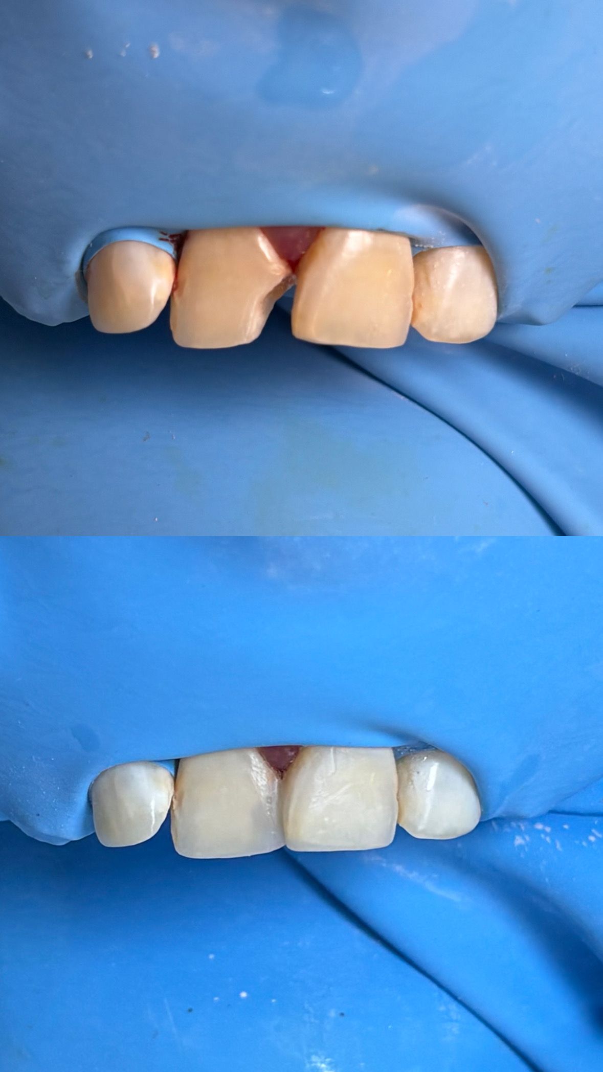 María Paula  Flores Novoa-28