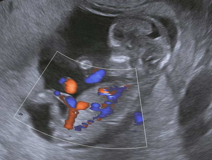 Mario López Franco-1