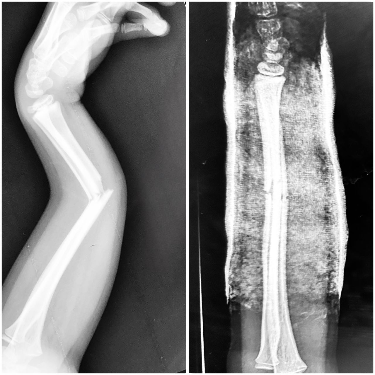 Rafael Adolfo Ferreyra Martinez-9