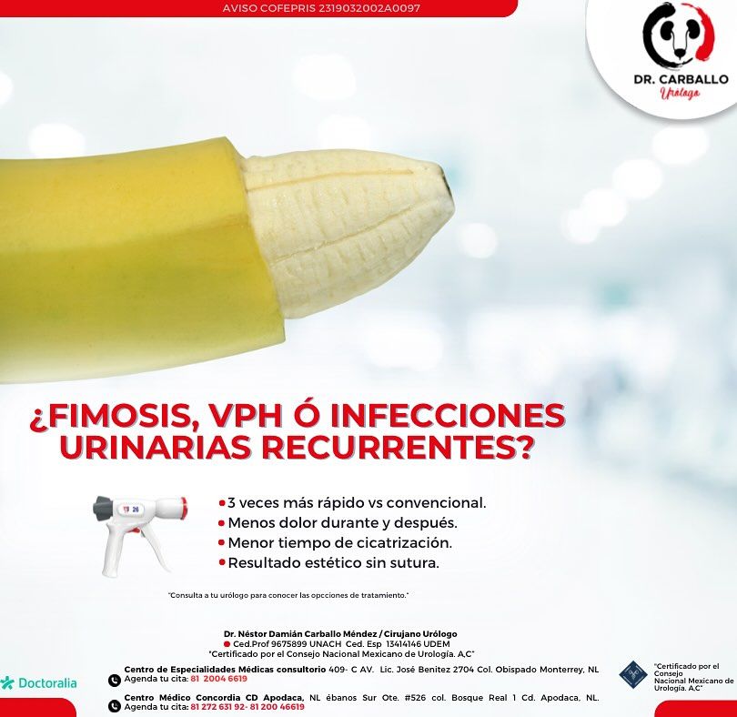 Nestor Damian Carballo Mendez-1