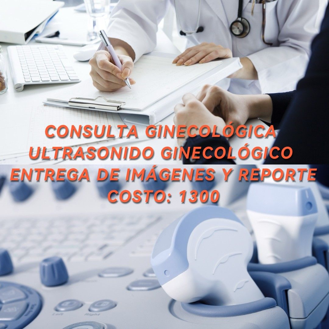 Florecita Flores Martínez-0