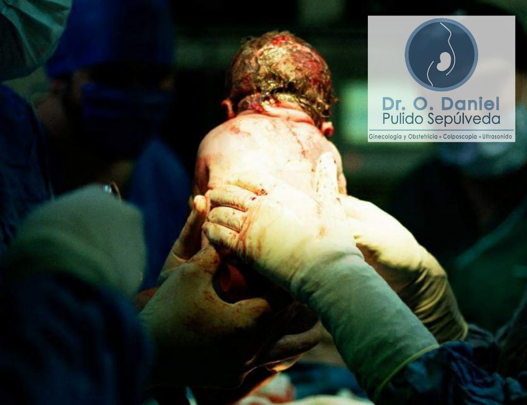 O. Daniel Pulido Sepúlveda-4