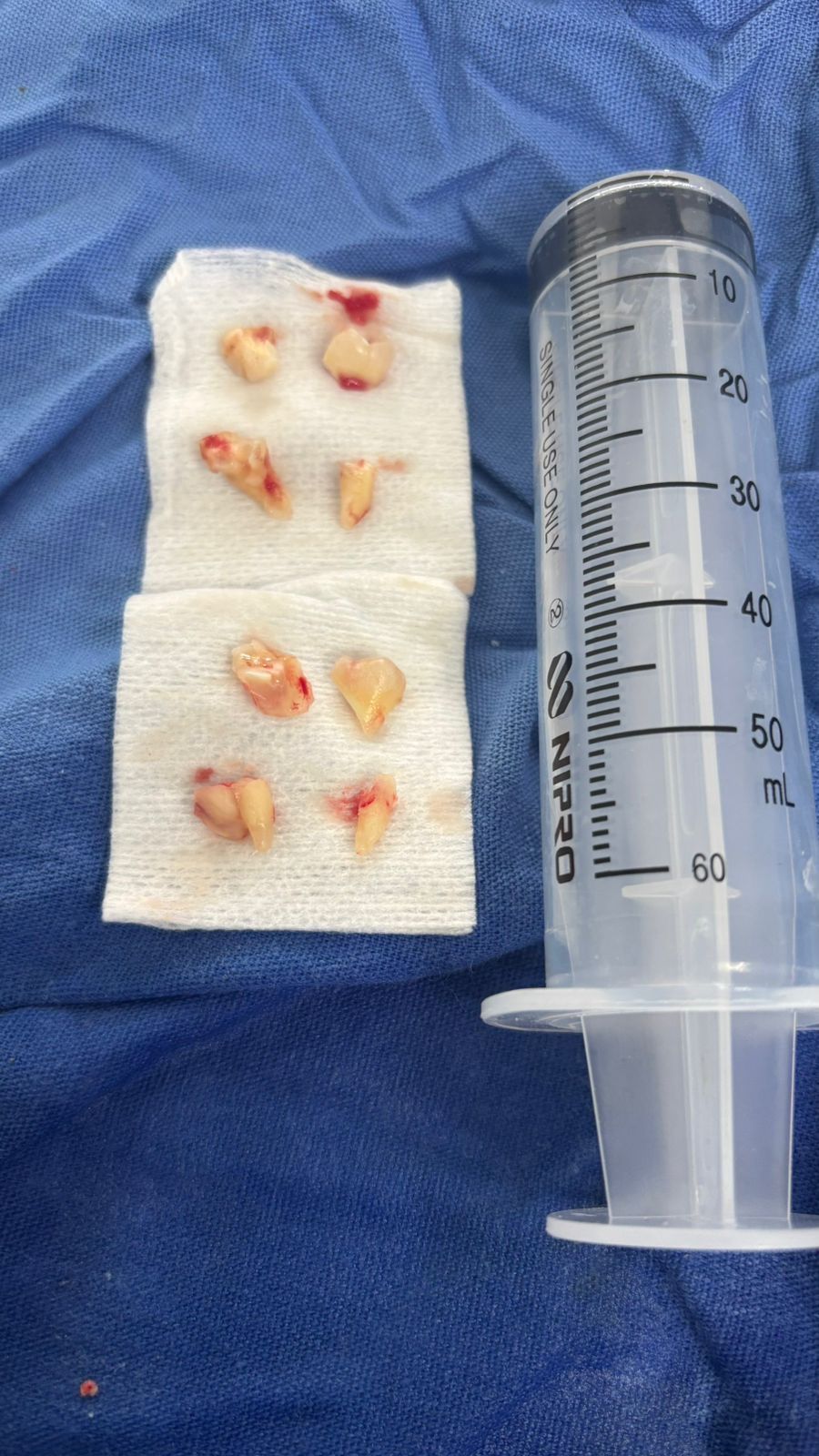 Sonia Larissa Riquelme Cuellar-12