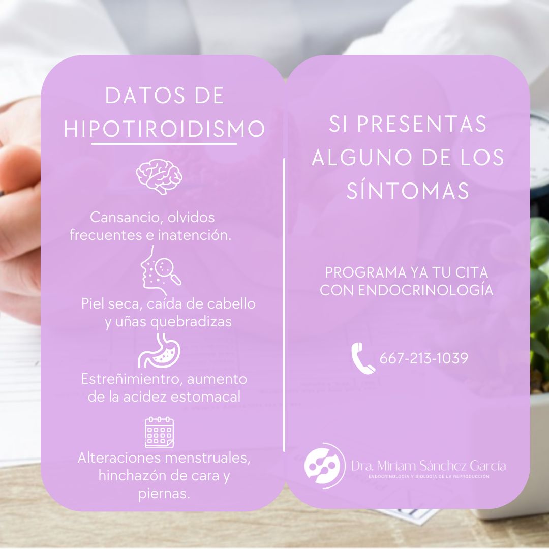 Miriam L. Sánchez García-2