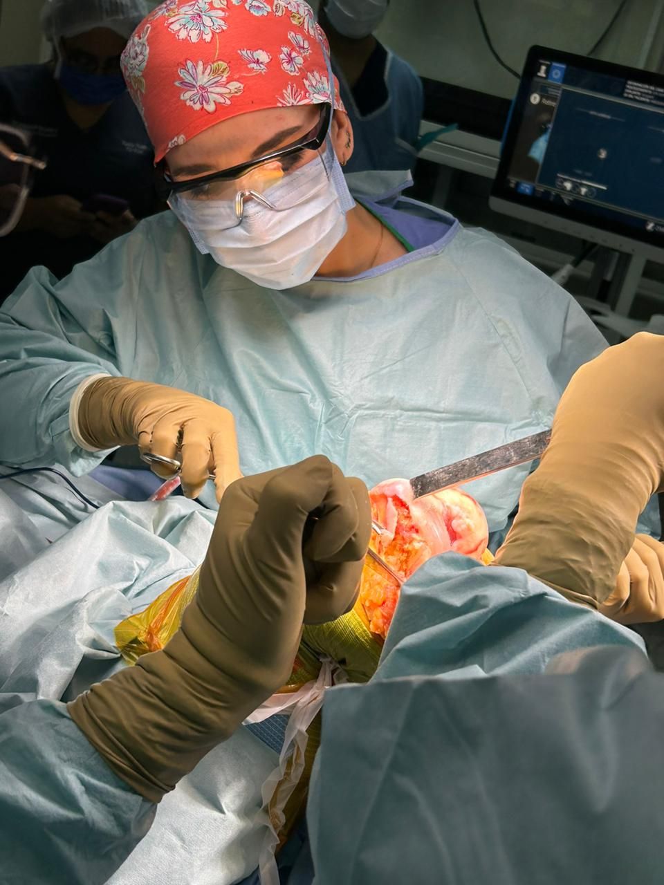 Alejandra Fuentes Martínez-1