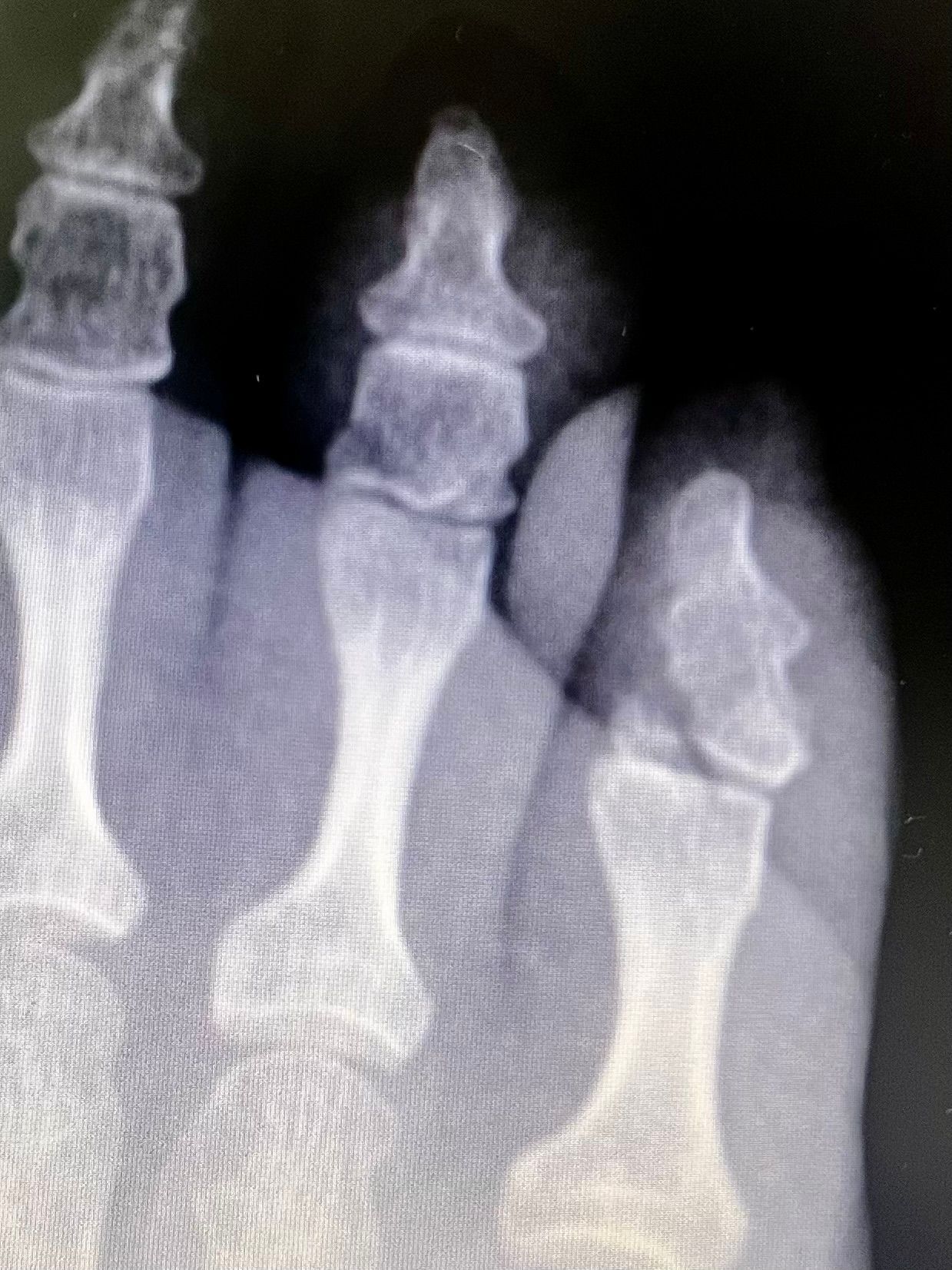 Rogelio Hernández García-45