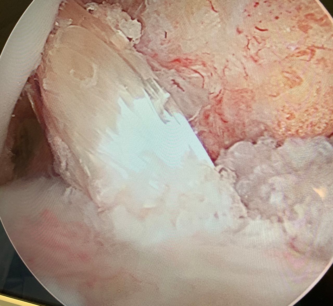 Javier Daniel González Fernández-6