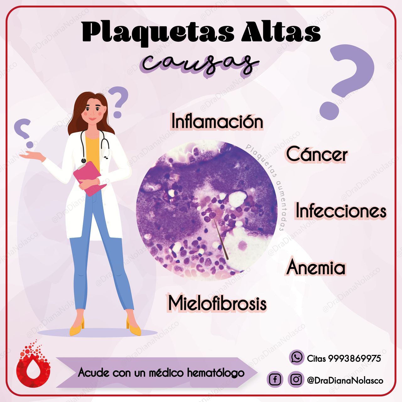 Diana Nolasco Medina-13