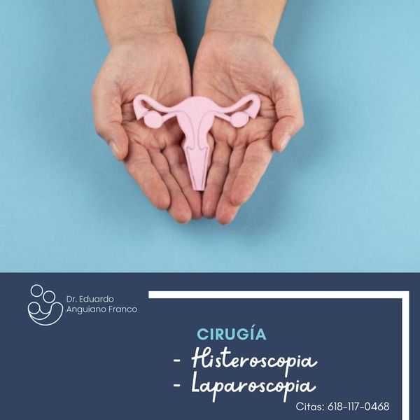 Eduardo Anguiano Franco-20