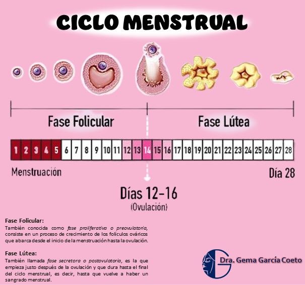 Gema García Coeto-5