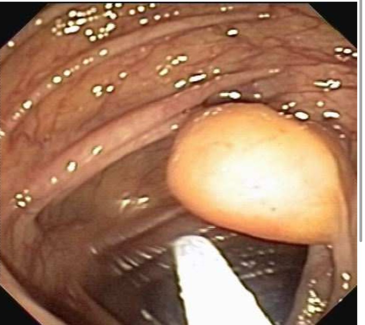 Diana Maritza Valladares Castoño-7