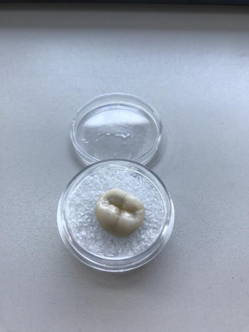 Wendy Sánchez P.-10