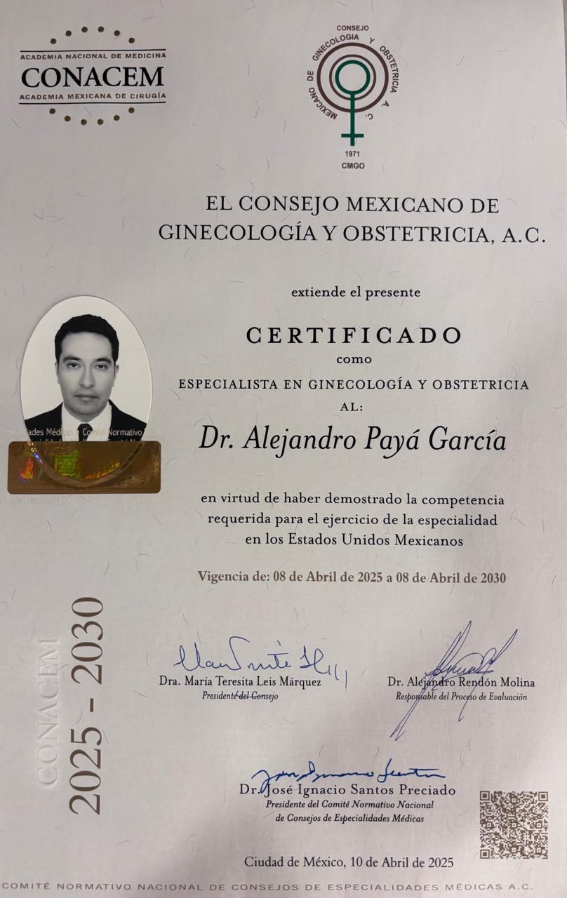 Alejandro Payá Garcia-14